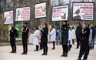 Petite abeille s’en va butiner, mais reviendra-t-elle sans danger ?